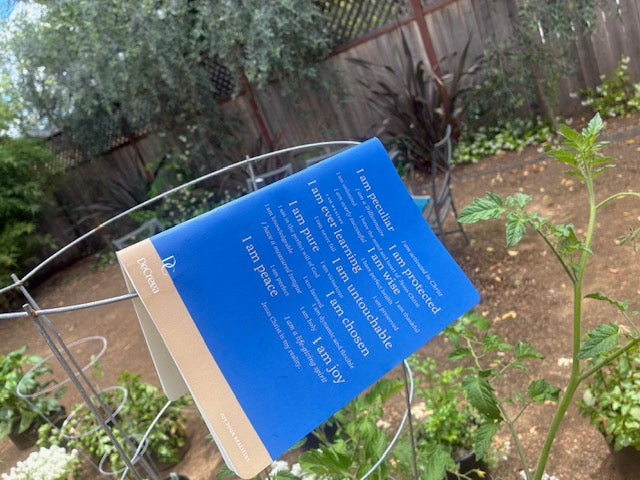 Revelation Edition – Blue